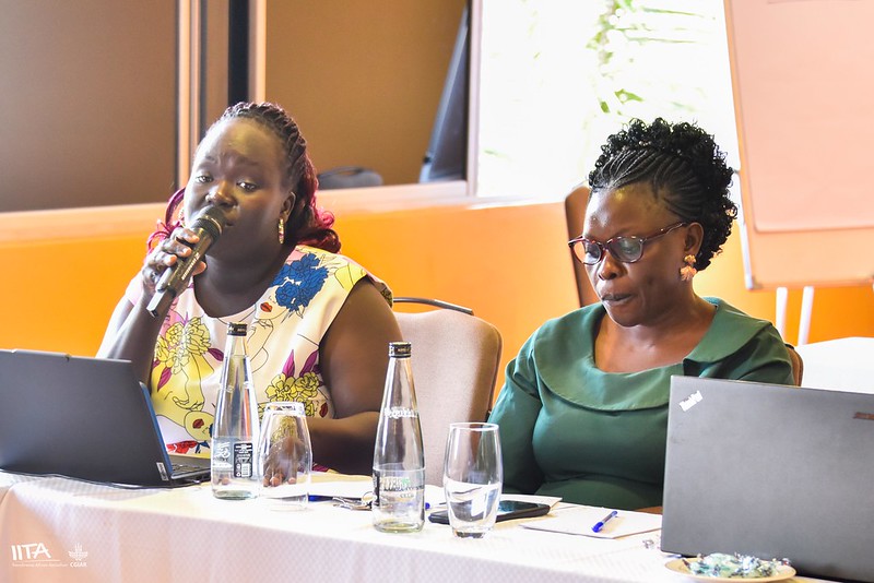 nina_nohayi's tweet photo. What a time! What a conversation! What a challenge ahead!
In Kampala 🇺🇬, @IWMI_ & @IITA_CGIAR convened partners from across Eastern & Southern Africa for a 1.5-day workshop under @CGIARScaling #Learning4Impact.
We began aiming for a framework on scaling champions, but partners reminded us: start with a practical guideline that can be tested & refined. Together, we co-developed a regional guideline on identifying & supporting scaling champions.
We asked:
❓ Why does adoption remain weak?
❓ Why do innovations lose clarity before reaching farmers?
💡 The answer: scaling succeeds when we elevate champions; people & institutions who communicate science, build trust, connect systems & embed inclusion.
We even played Broken Telephone to show how innovation messages get diluted through systems & politics. By the end, clarity was gone, just like what happens to many innovations.
4 takeaways from Kampala:
1️⃣ Scaling must be taught; universities/TVET must prepare graduates to embed adoption.
2️⃣ Think value chains, not pilots.
3️⃣ Confront weak adoption: risks, incentives, inclusion.
4️⃣ Elevate & connect champions.
Scaling rarely fails because innovations are weak. It fails when champions lack support.
Real impact = investing in people who make scaling possible.
@ruforumsec @ASARECA @narouganda @MAAIF_Uganda @total_landcare @AfricaRice @MaronderaVarsit @FARAinfo