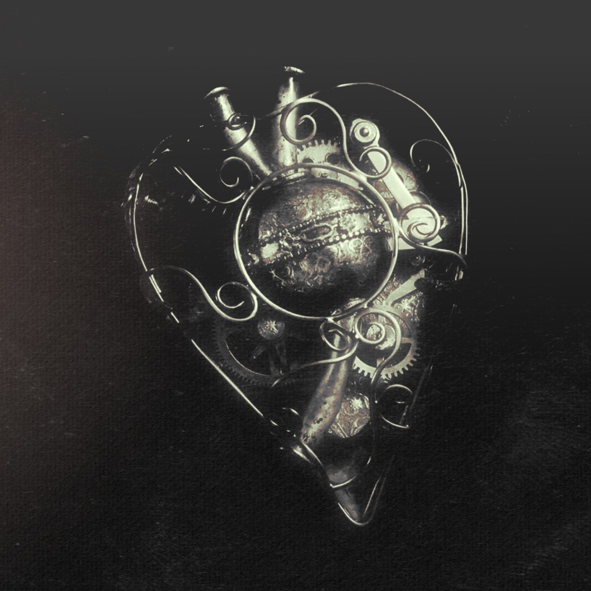 ๐ธ๐๐๐๐ ๐ฝ๐๐๐๐ tweet media