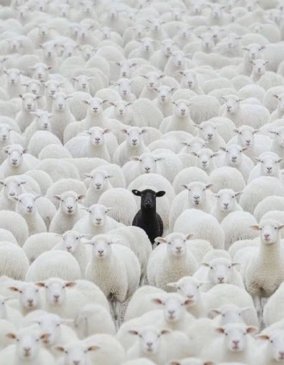 Blog yazısı “levanten ya da Doğu Avrupalı” yayında. Okumak için👇

medium.com/@kevinborg70/l…