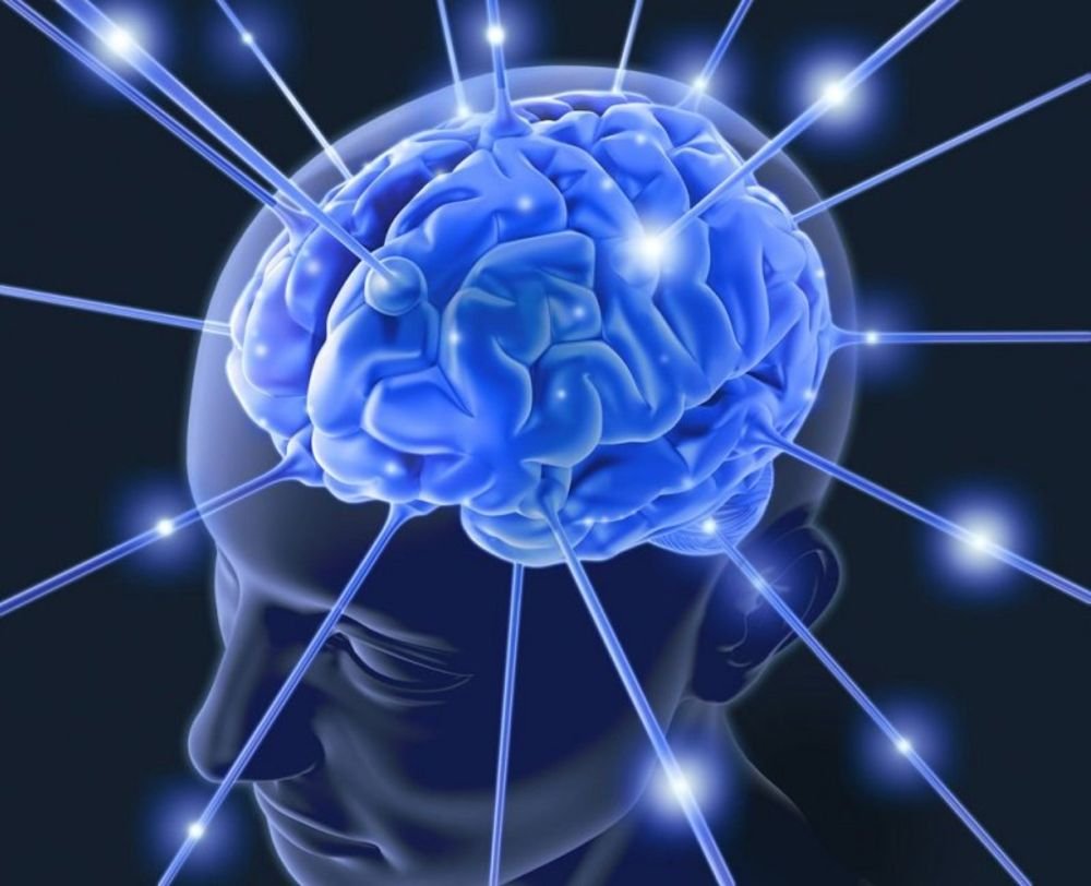 KnowledgeZoneIn's tweet image. #KnowledgeByte: #Memory capacity of human #Brain is difficult to measure, but some estimates calculate it to be around 2.5 petabytes. 

These calculations depend on varying assumptions, but it is unlikely that a person will ever run out of storage space.

knowledgezone.co.in/posts/Memory-C…