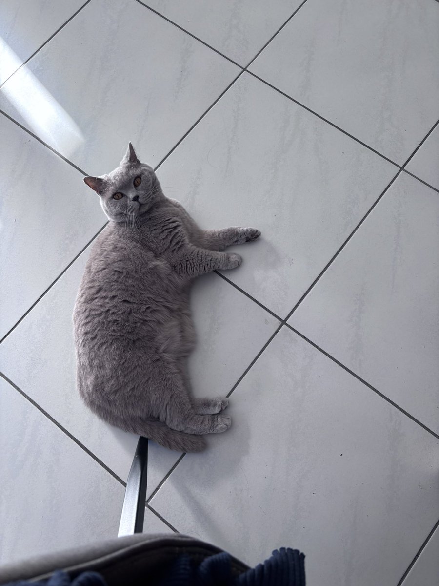 Zalig 😍ik heb weer heilig haar op mijn kleding!!! Vereerd 🥹😍🥰😘😍🥰🥰🥰