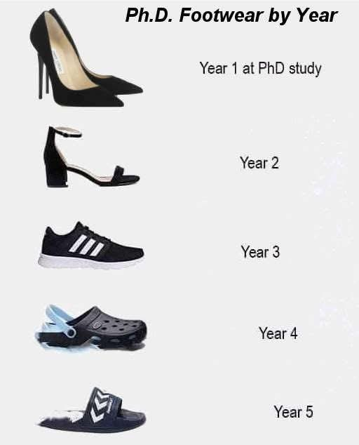 Scholarship for PhD (@scholarshipfphd) on Twitter photo 