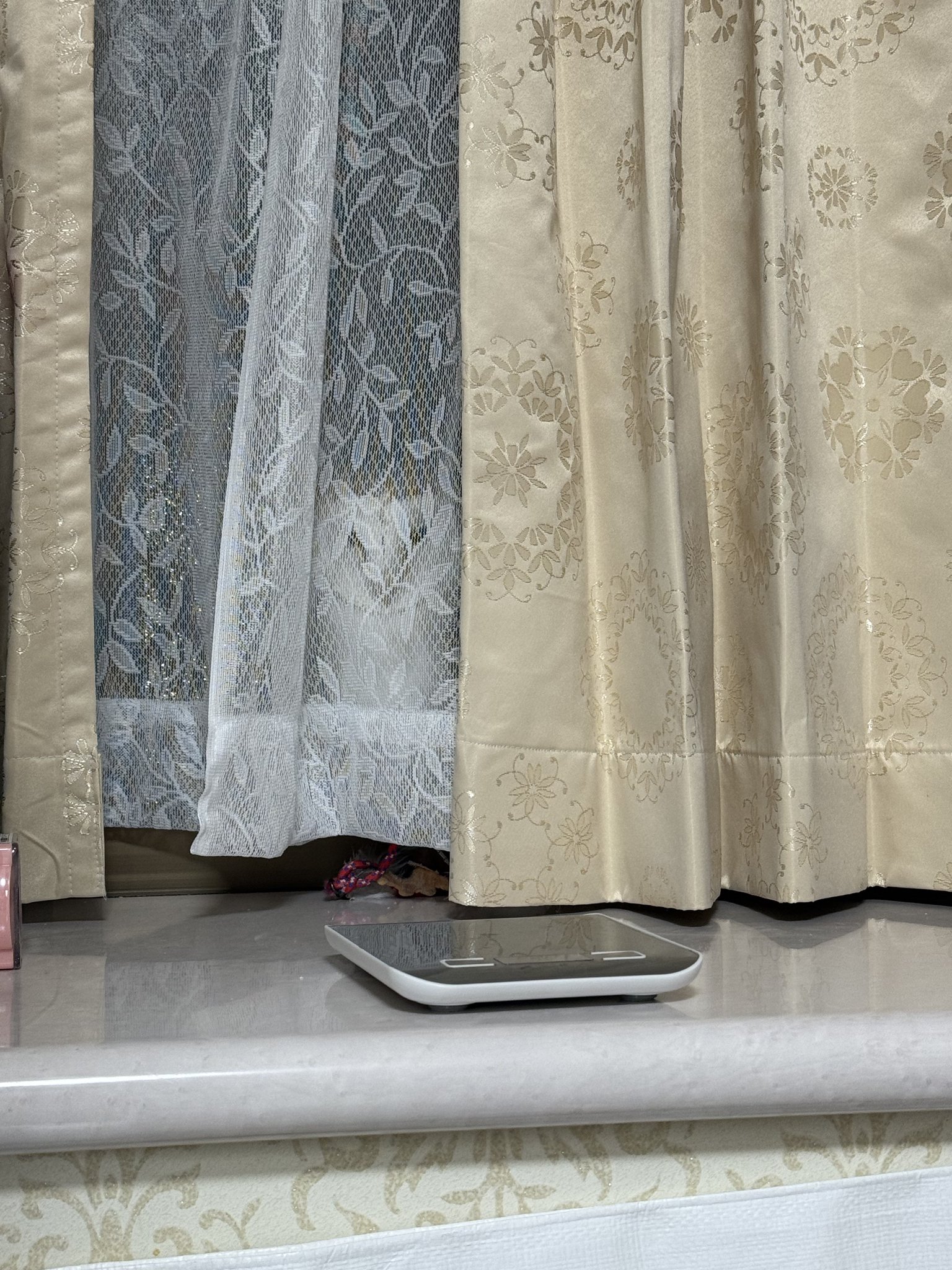 カーテン Yumiko カーテン Yumiko Z/X カーテン あづみ&リゲル - メルカリ