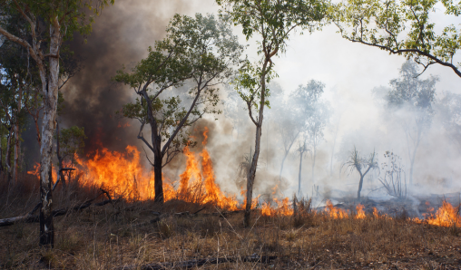 CIS_Institucion's tweet image. 📈 El 80,8% de los españoles prefiere que los servicios de prevención y extinción de #incendios forestales de su comunidad autónoma sean públicos

Este y otros datos en el último estudio que hemos realizado sobre &apos;Protección civil (III)&apos;:
tinyurl.com/2dmcgjpc