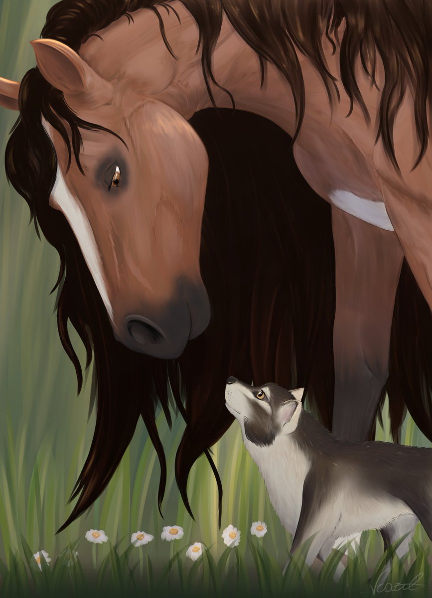 Vrazil - Commissions OPEN - tweet media