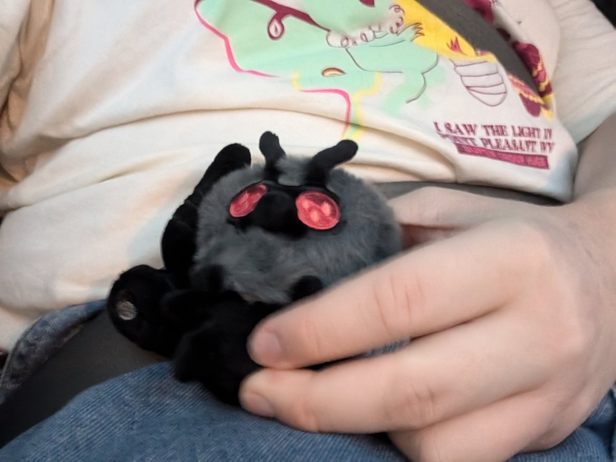 mothbylamplight's tweet photo. Got that moth on me #mothposting https://t.co/CY6Hc6tK5Y