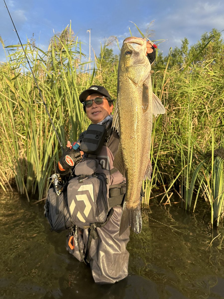 あつや (@sea_sea_0722) / Posts / X