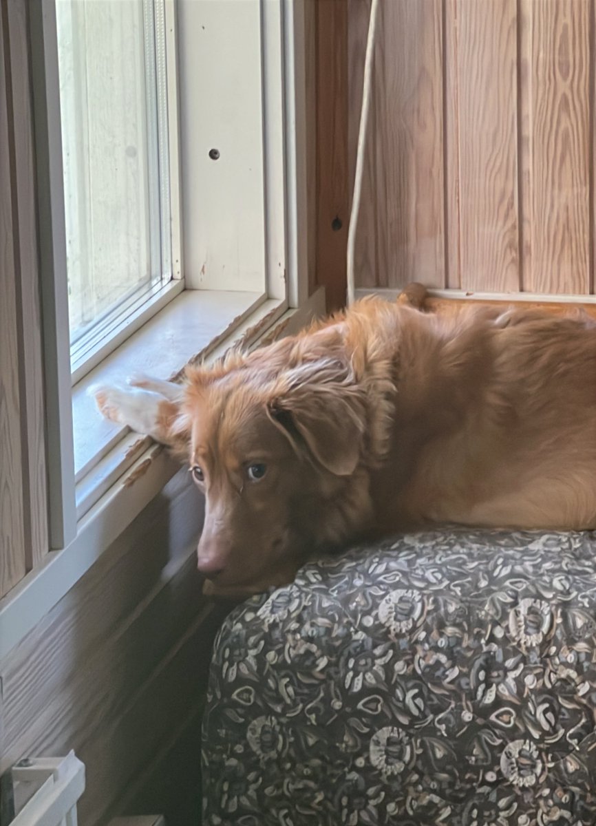 Sami Muhonen tweet media