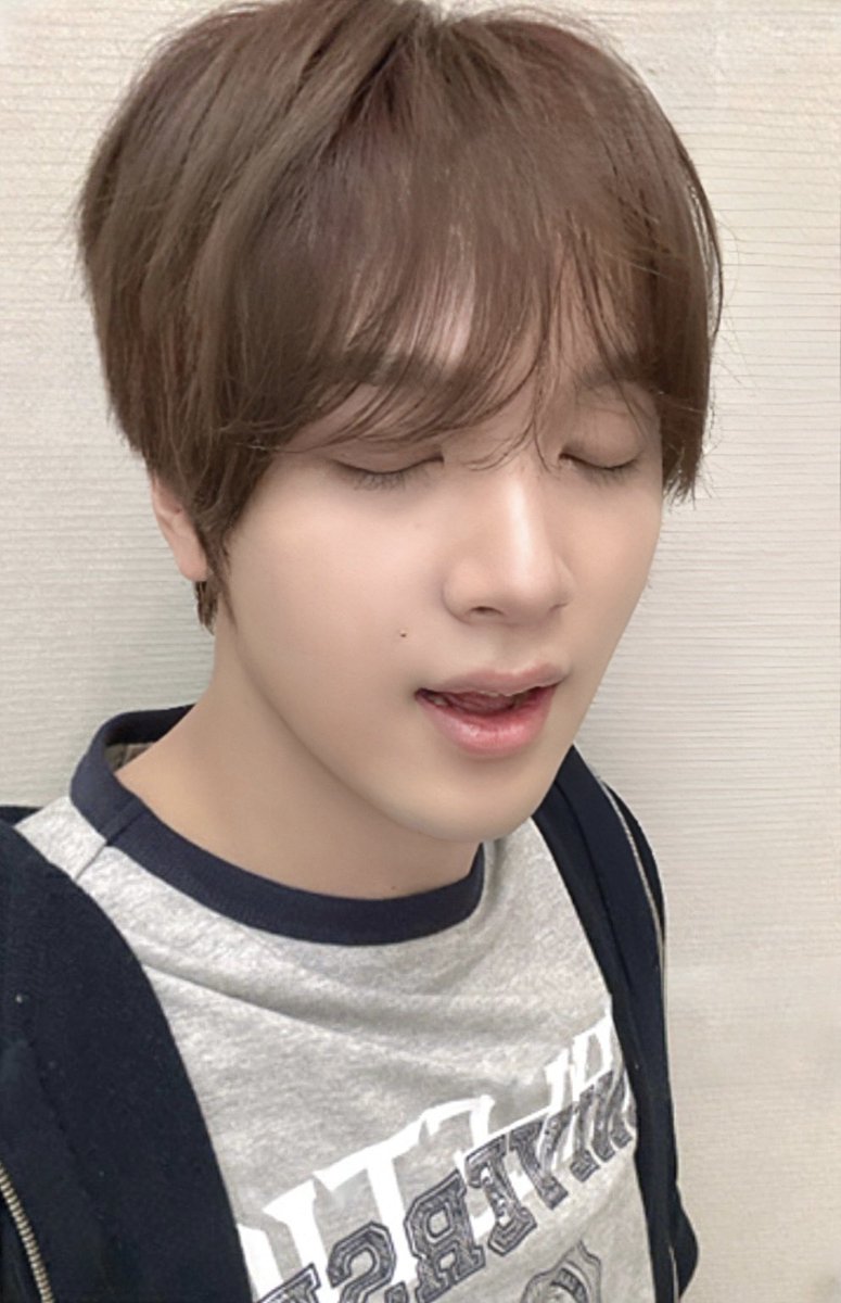 곰쮜 tweet media