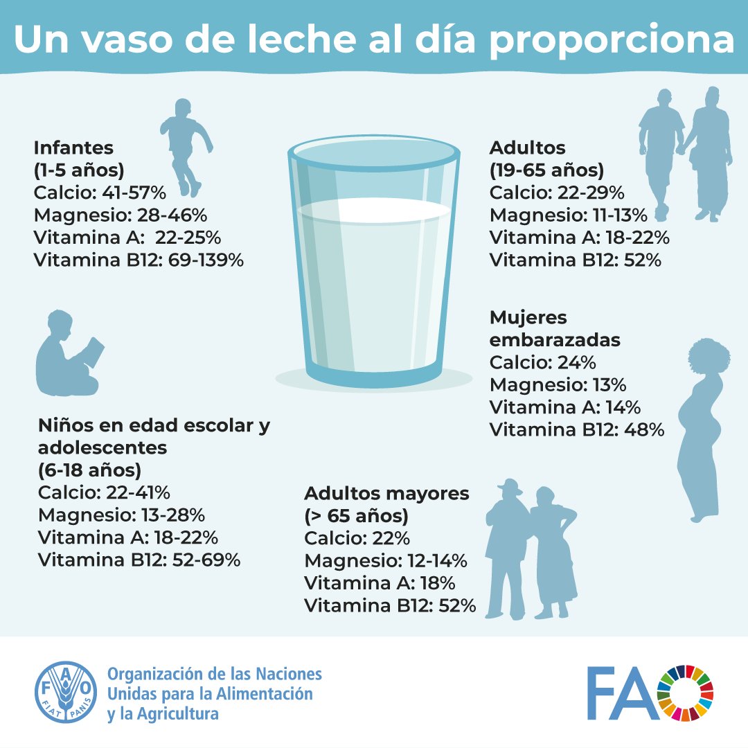 FAOenEspanol's tweet image. 🥛¿Sabías que un vaso de leche (250 ml) aporta hasta 57% de la ingesta diaria de calcio recomendada en la infancia?

🧀La leche y los lácteos aportan nutrientes clave en todas las etapas, como calcio, magnesio o vitamina B12.

Beneficios de la leche➡️bit.ly/3IsdcNu