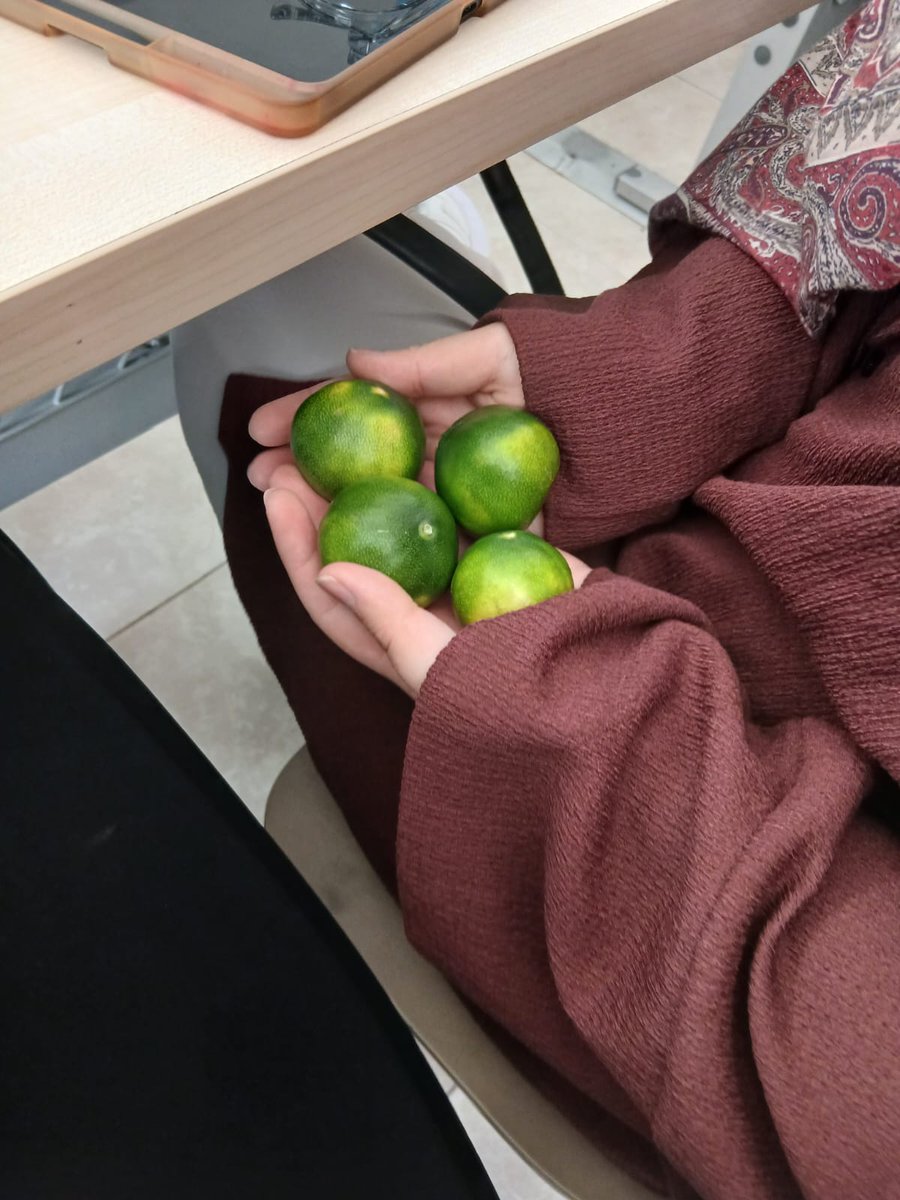 Bu kız seni seviyorum demese de olur ✨️🥰🌹💖✨️💝💘✨️💕