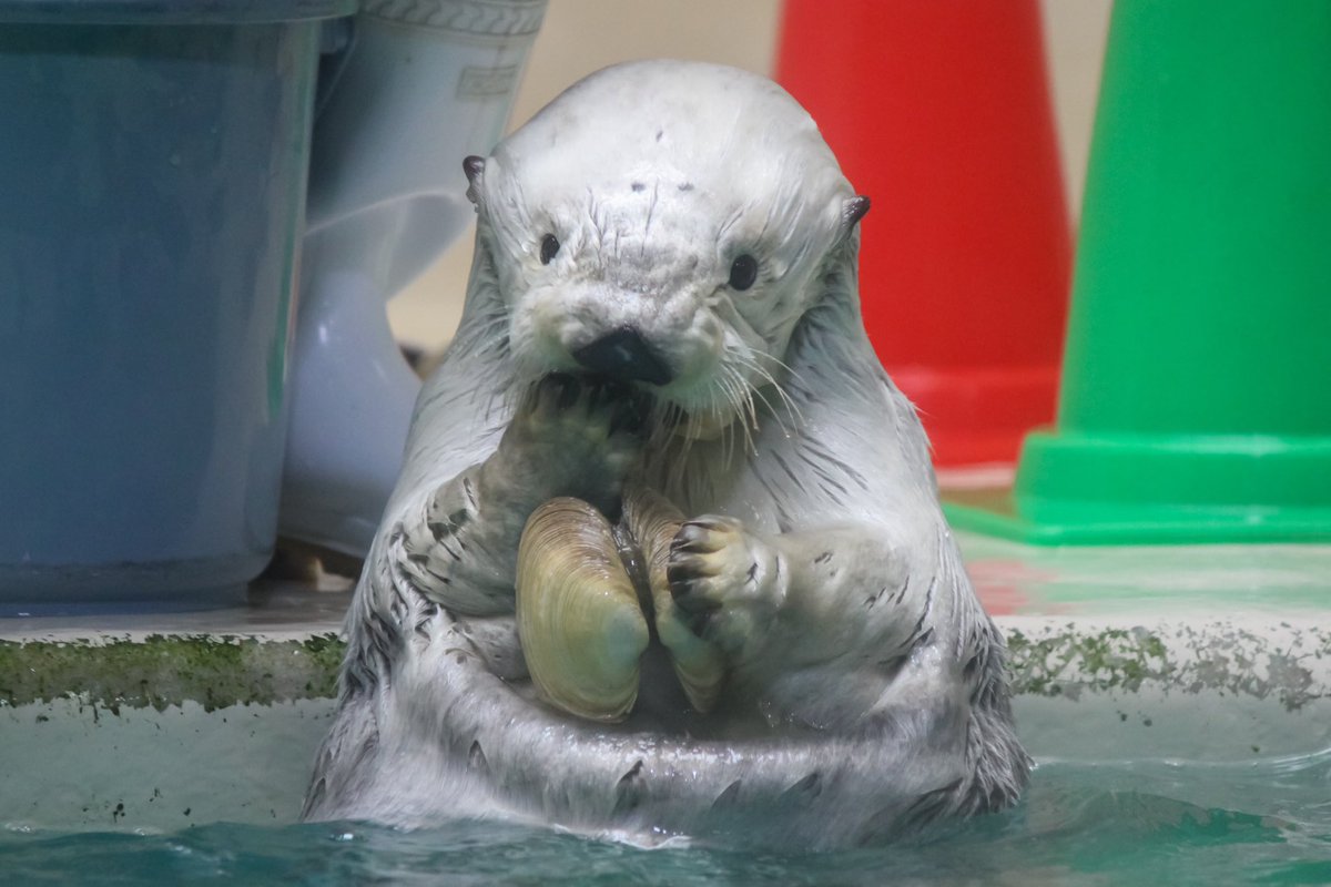 ℳ❀ (@z3_uy) / Posts / X