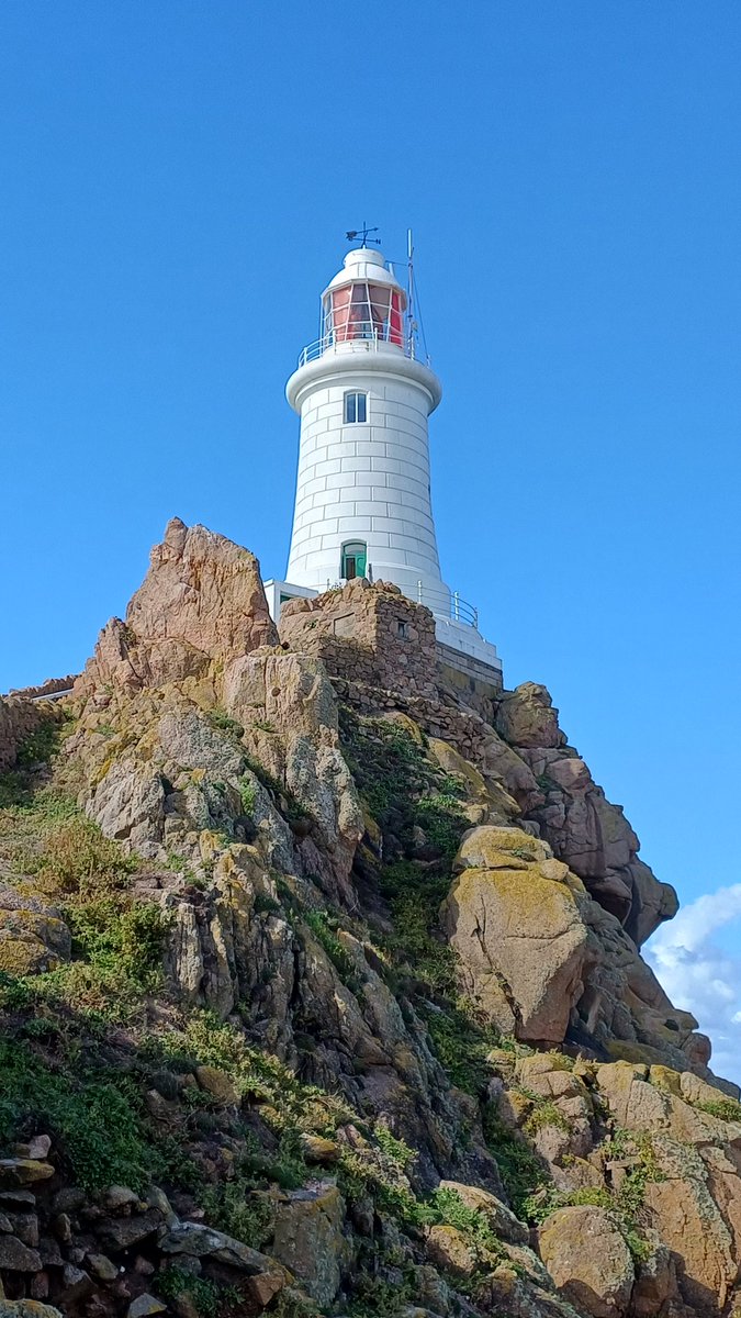 ❣Plurpingo❣ tweet media