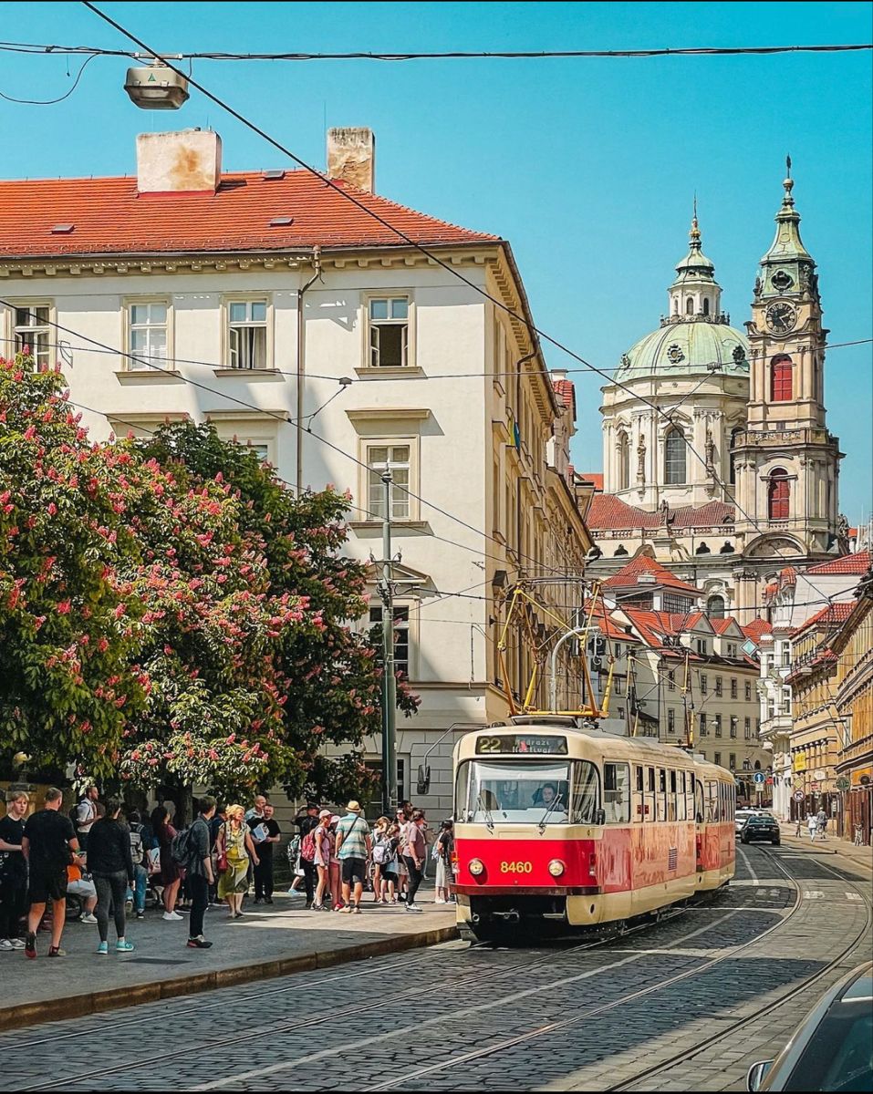 위즈유 (@wugmassdol01037) on Twitter photo 