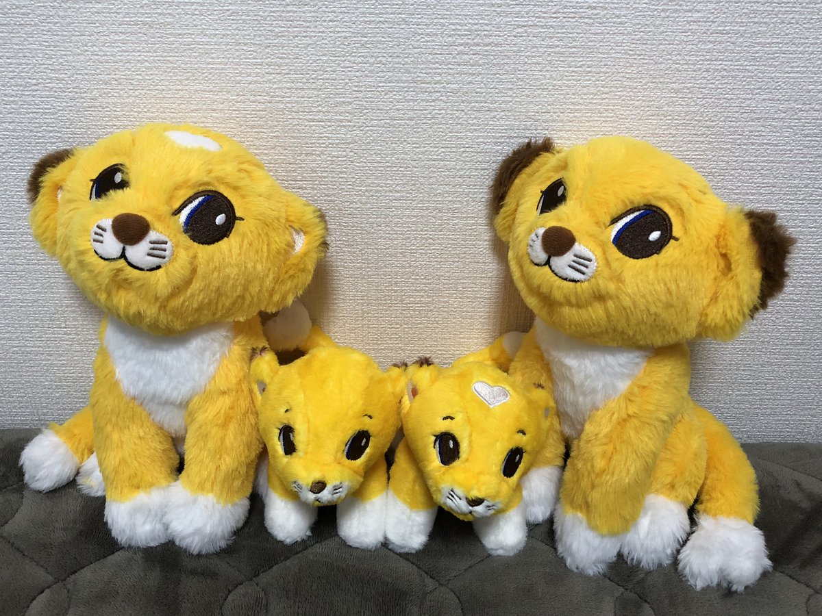 ciaociaoni__'s tweet image. 1番上の甥っ子も親管理のもとSNS見てるから、
嫌でも目にしてると思って連絡したら、
「きっと心が幸せじゃないんだね。〇〇ちゃん（私の呼び名）、そんな人無視だよ」って言われて😳えっと...人生何周目ですか🧐

そして本日やっと勢揃いしました🦁💖
#ハートのレオナとエレナ 
#MCML