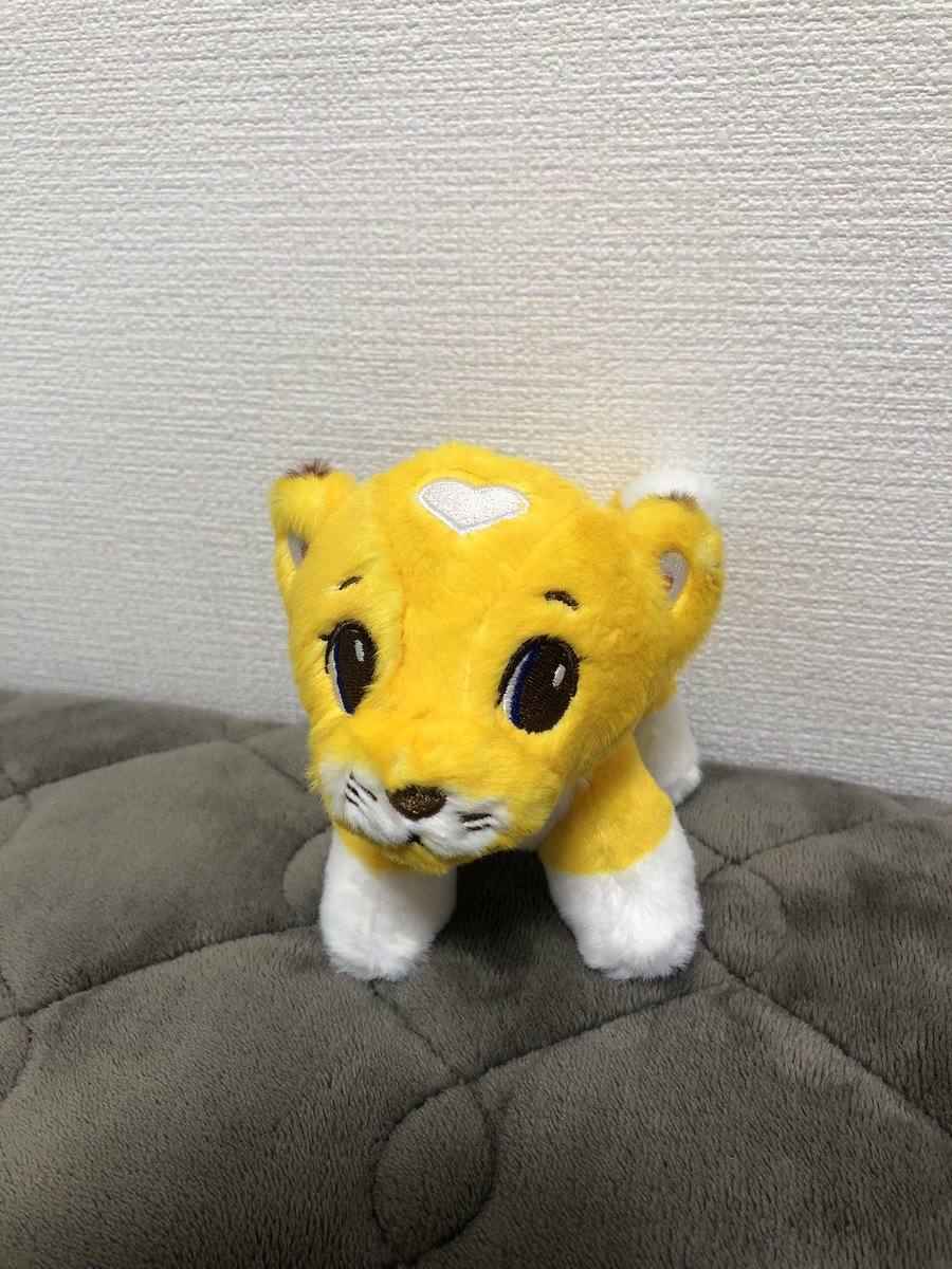 ciaociaoni__'s tweet image. 1番上の甥っ子も親管理のもとSNS見てるから、
嫌でも目にしてると思って連絡したら、
「きっと心が幸せじゃないんだね。〇〇ちゃん（私の呼び名）、そんな人無視だよ」って言われて😳えっと...人生何周目ですか🧐

そして本日やっと勢揃いしました🦁💖
#ハートのレオナとエレナ 
#MCML