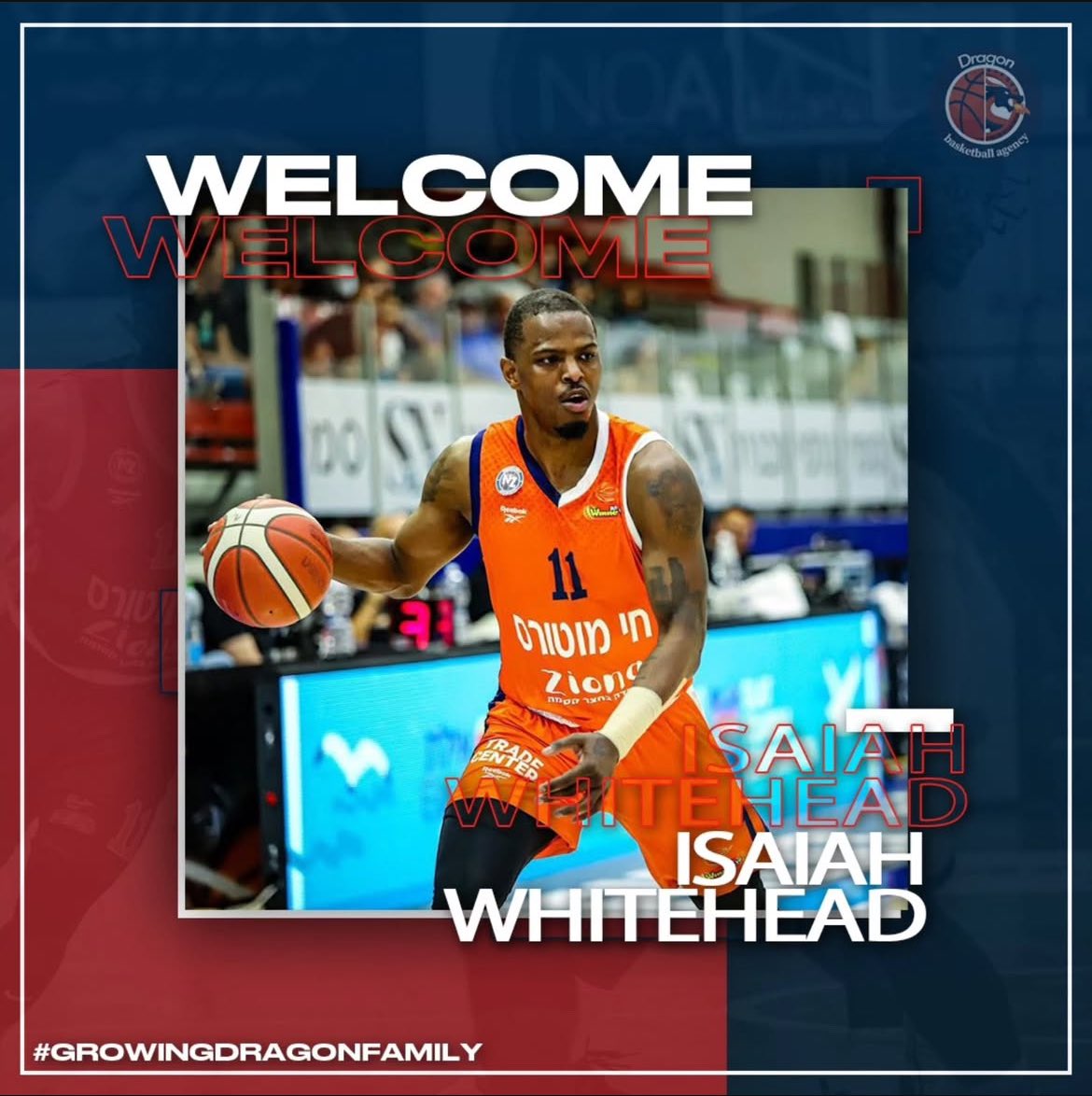 DragonBasketballAgency tweet media