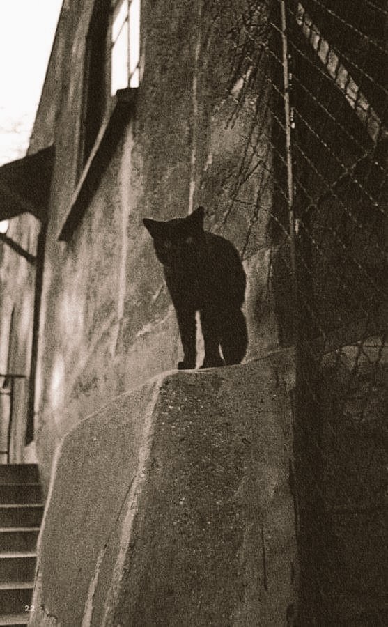 3️⃣80k Paris AMD 😊 tweet media