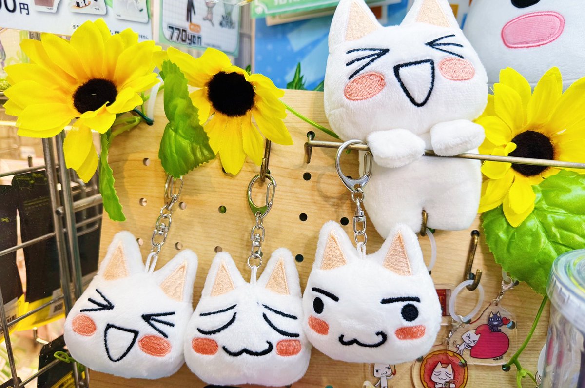 品切れしてたトロのマスコット商品が5階売場に再入荷🎵 #GRAPHT