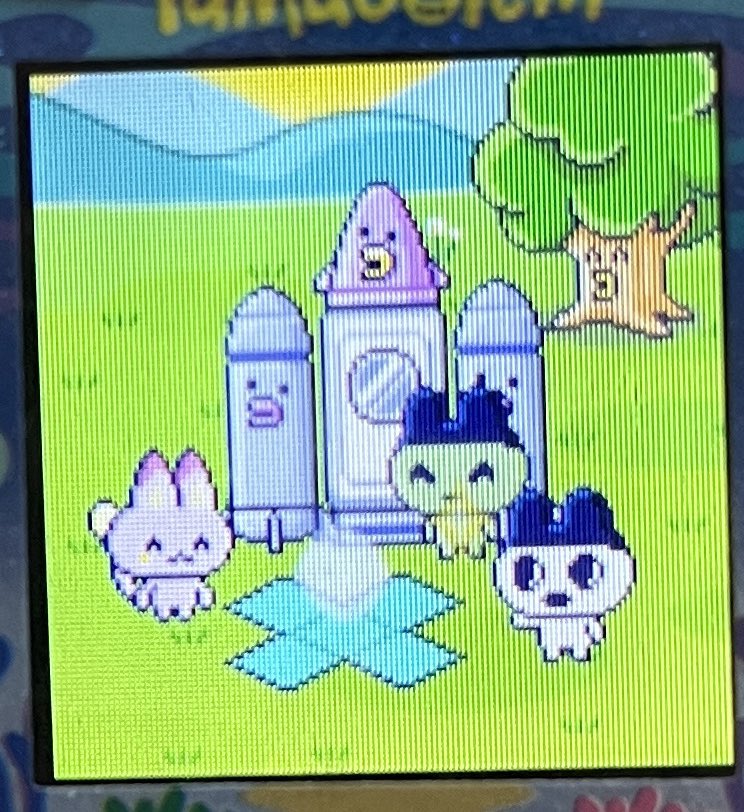 まめっちたちと温泉のわくせいにいってきた