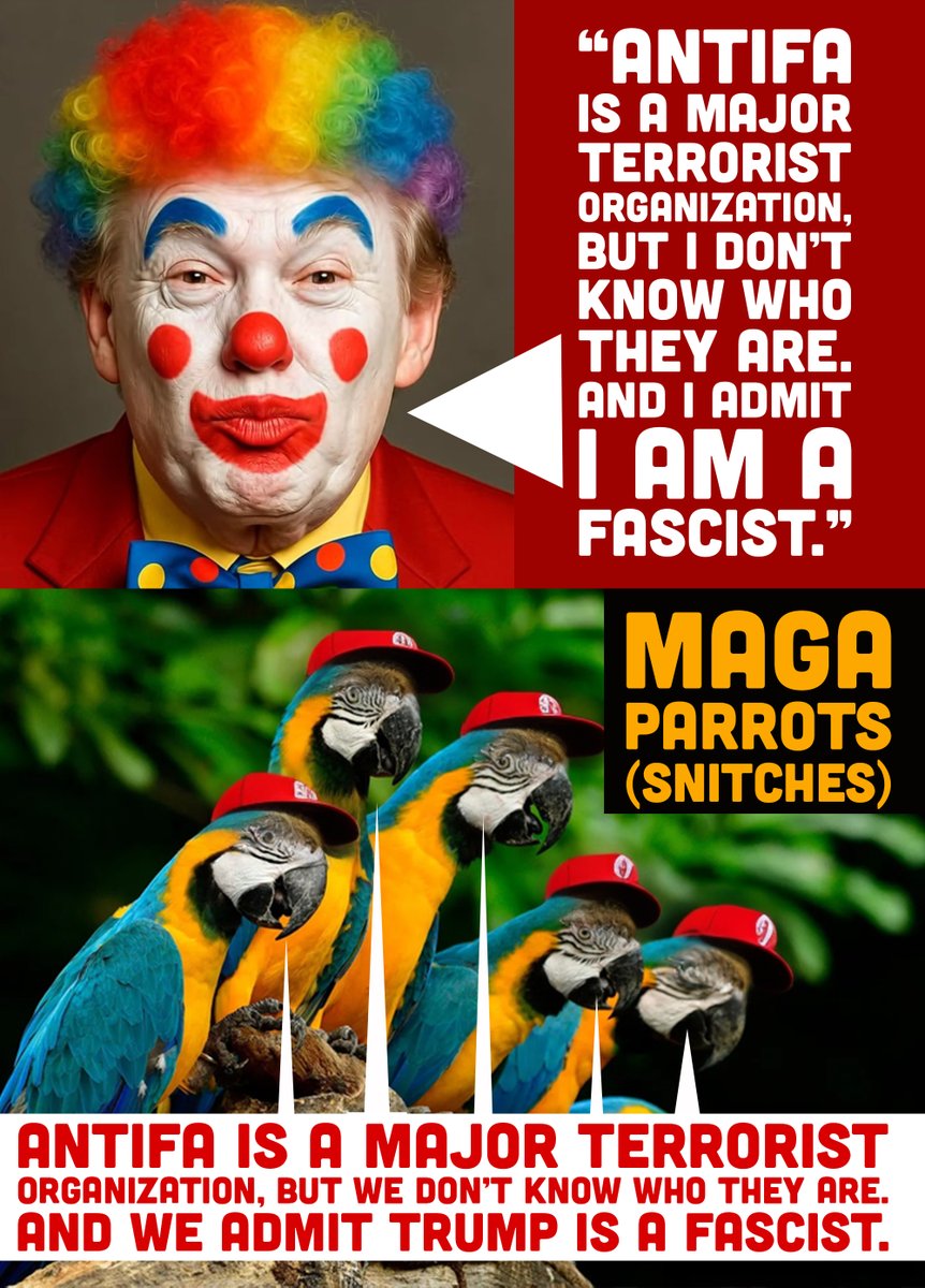 Forever Voyager 🇪🇺 🇺🇦 tweet media