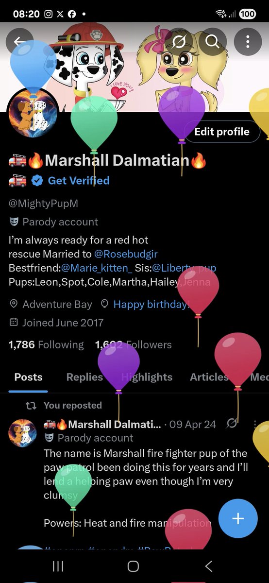 Barks trying to pop the balloons