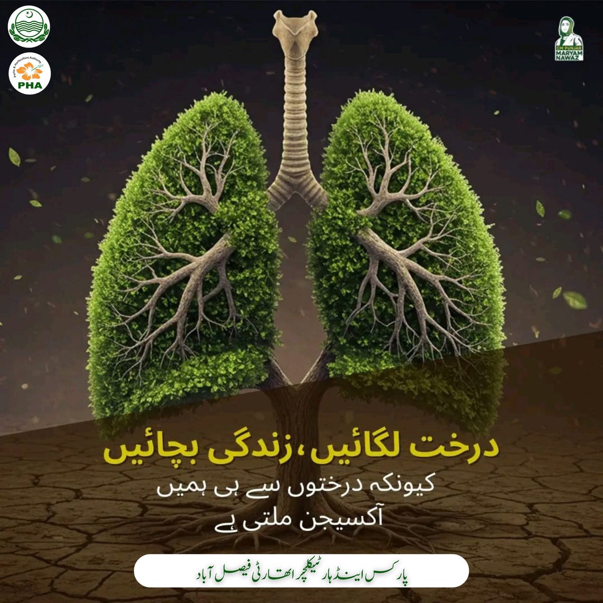 Phafsd's tweet photo. https://t.co/mvIC3SZXvB