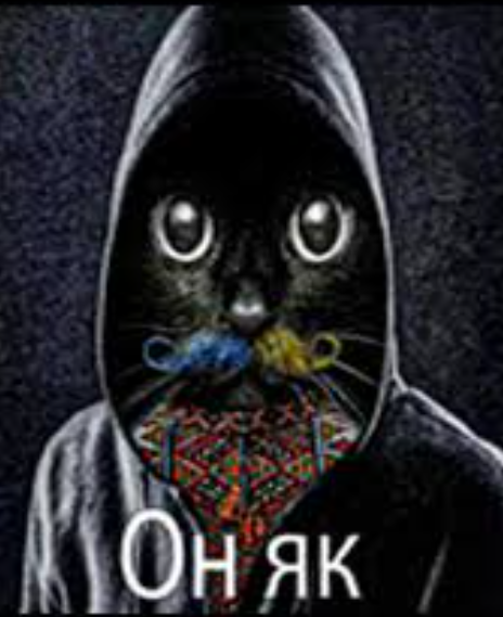 Podoba Interactive🇺🇦 tweet media