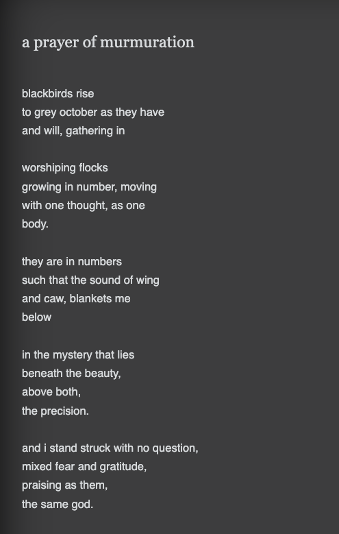 #poetry #poetrylovers #poetrycommunity #poetrytwitter #poem #poet #PoeticTruths
#BraveWrite  #poetsoftwitter #WritersofTwitter #WritingCommunity

a prayer of murmuration