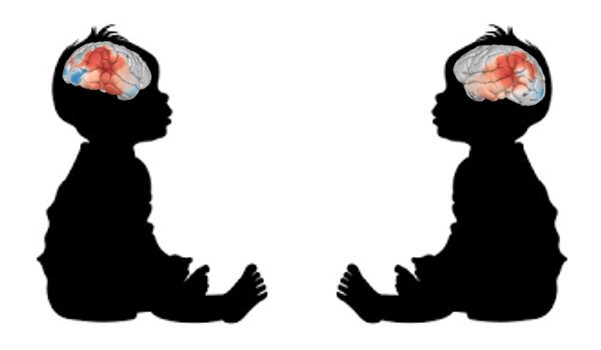 Manuel Mello tweet media