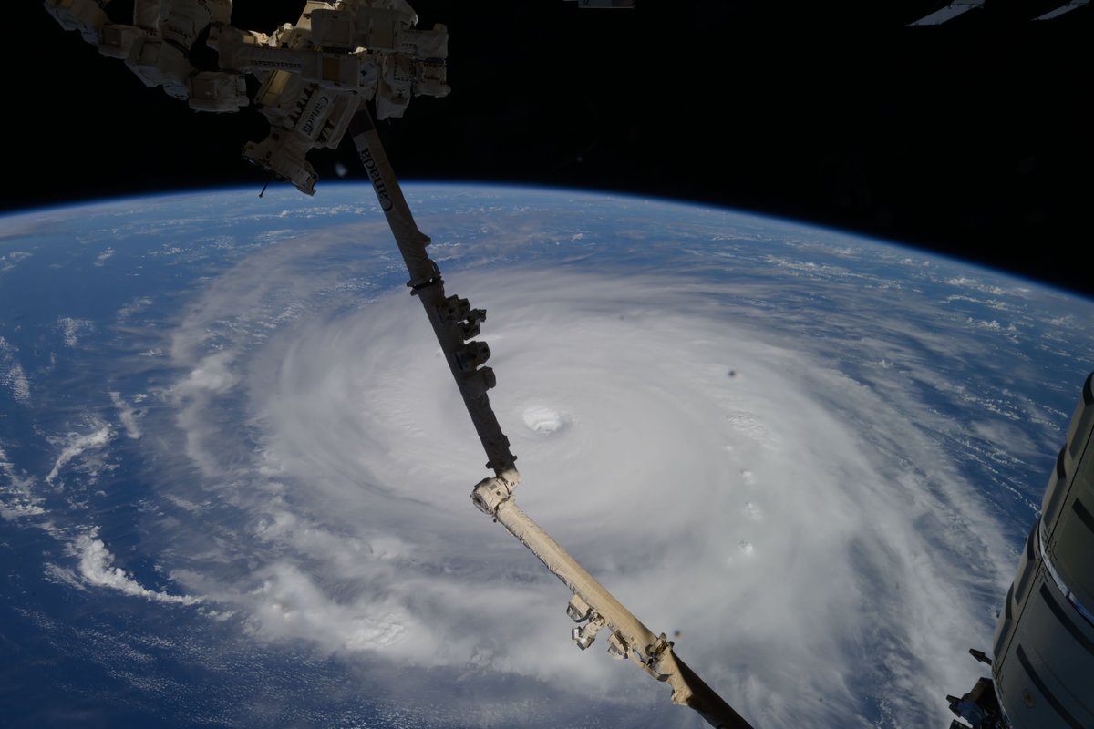 Teevolution tweet media