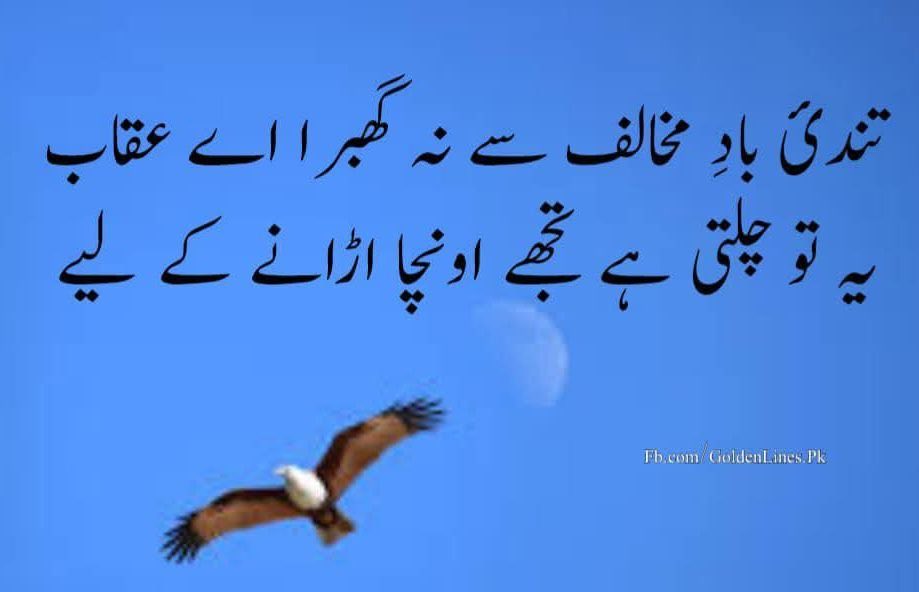 G Chaudhry (@gchaudhry23) on Twitter photo 