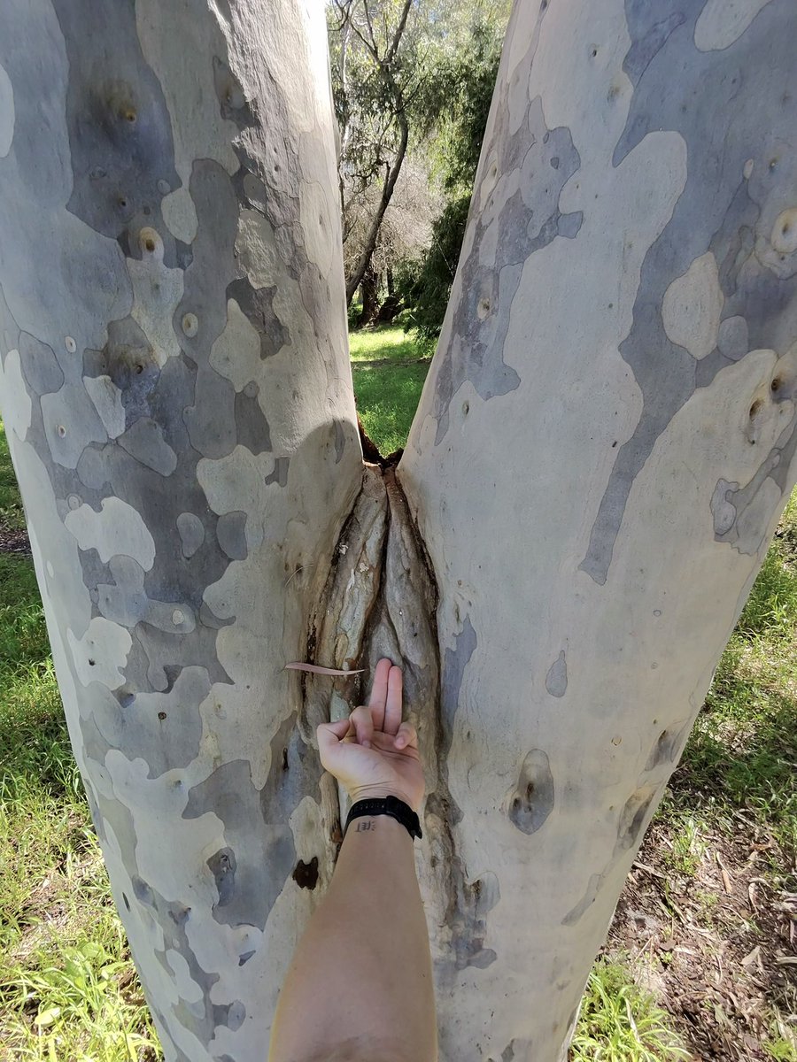 everything reminds me of you $SOL