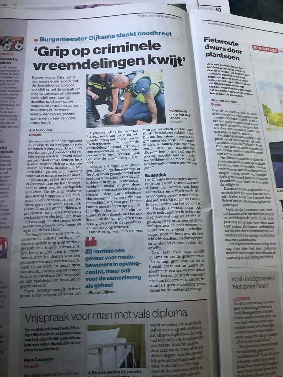 Er is m.i. niet zo zeer een Migrantenprobleem, maar een probleem in de brede strafrechtketen (handhaving, opsporing, OM, bewijs, gevangenis, uitzetting). Steel-, steek- geweldboeven horen in de gevangenis en niet op straat. Als dat gebeurt haalt dit bij PVV wind uit de zeilen.