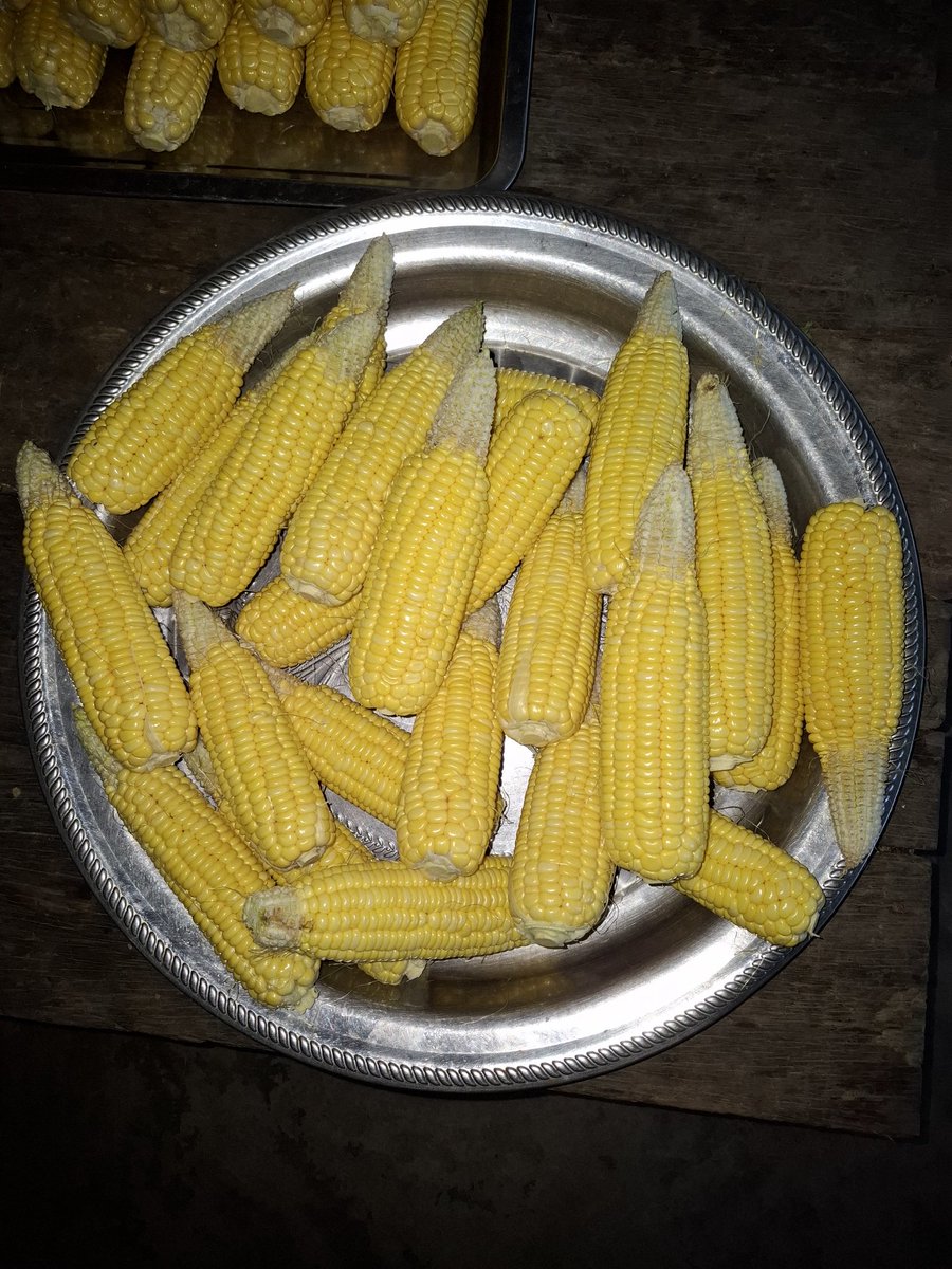 Isan_singha2018's tweet photo. #sweetcorn🌽 https://t.co/775yyQR7Pc