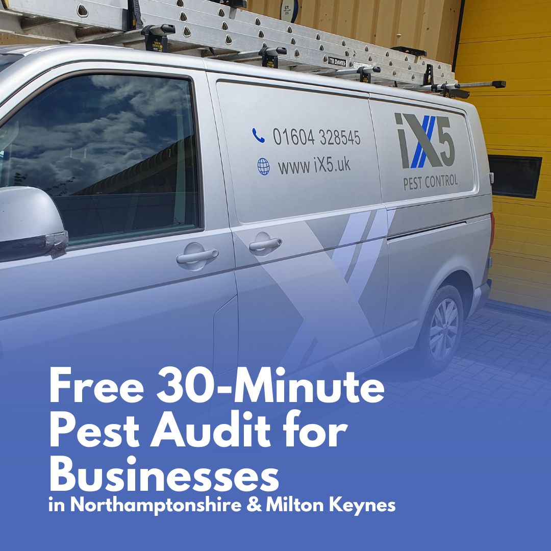 iX5uk's tweet image. 📢 Limited-Time Offer for Businesses in Northamptonshire &amp;amp; Milton Keynes!
Get a free 30-minute pest audit this autumn with iX5 Pest Control.

 ⚠️Slots are limited – book your free pest audit today!
ix5.uk/free-30-minute…
#PestControl #BusinessProtection #FreeAudit