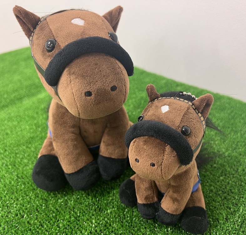 idolhorse_10th's tweet image. ✨アイドルホースぬいぐるみ 新商品✨

アイドルホースぬいぐるみ 
『ベラジオオペラ（2025年第69回大阪杯ver.）』
S,Mサイズが新登場🐎

史上初の大阪杯2連覇を達成した
2025年のレース仕様で再現🏆

9/26よりターフィー通販クラブ、ターフィーショップ等で発売🌟
是非お迎えください💪