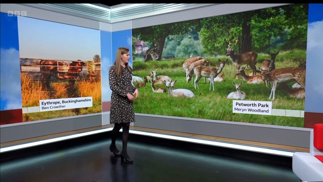 Thanks <a href="/BBCSouthWeather/">BBCSouthWeather</a> <a href="/AlexisGreenTV/">Alexis Green</a> for using my photo on the weather report last night x