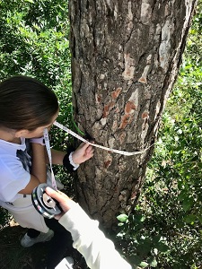 CdA Can Santoi tweet media