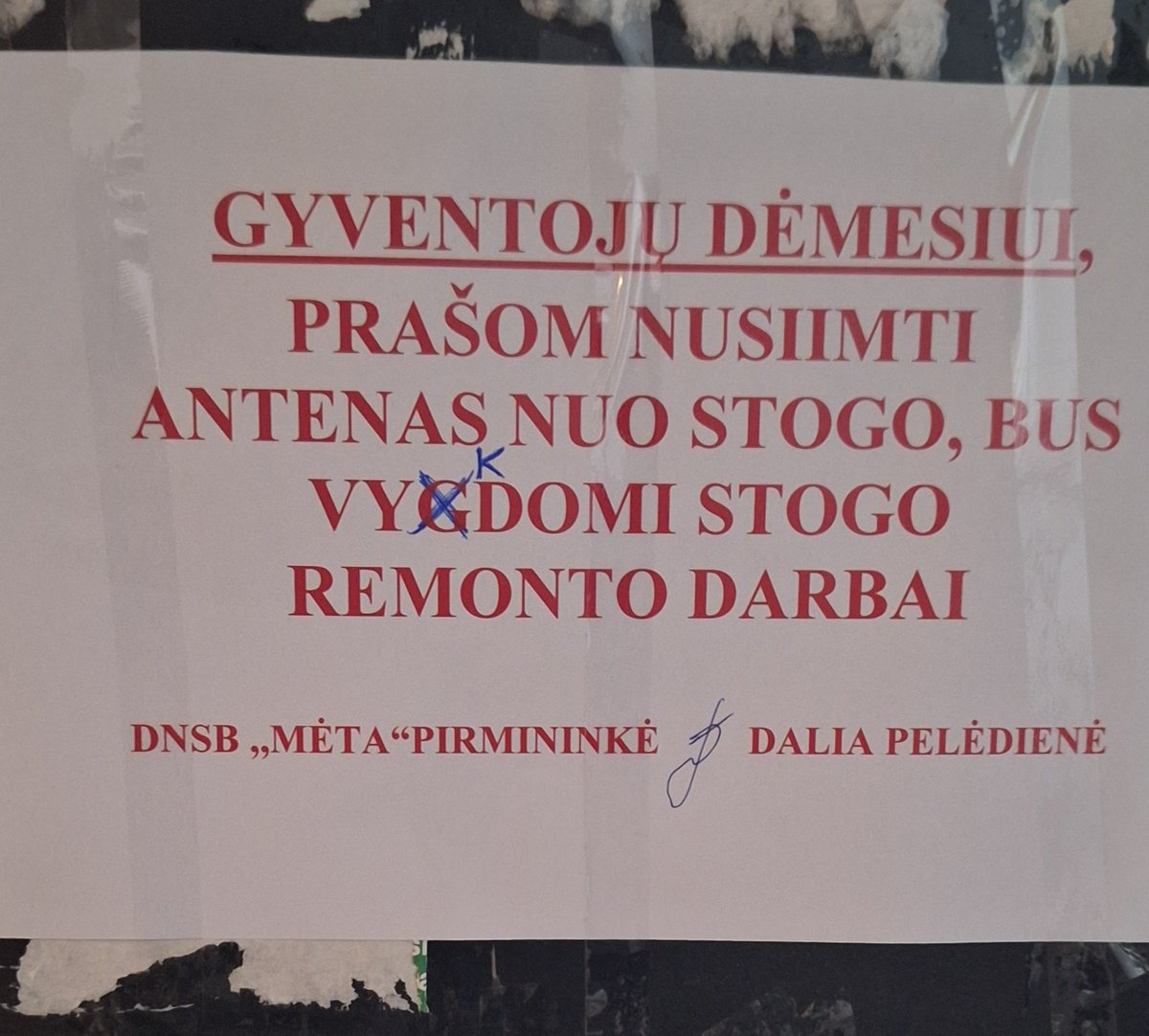 Saulius tweet media
