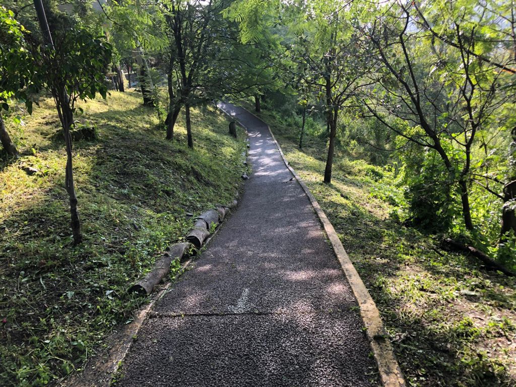 huellas de México (@huellasmx_) on Twitter photo ¡Buenas noticias para los vecinos! La <a href="/AlcaldiaAO/">Alcaldía Álvaro Obregón</a> recupera la administración del Parque Ecológico Colinas del Sur para garantizar que sea un espacio público, gratuito y seguro para todas y todos huellas.com.mx/2025/09/24/bue… ¡Buenas noticias para los vecinos! La <a href="/AlcaldiaAO/">Alcaldía Álvaro Obregón</a> recupera la administración del Parque Ecológico Colinas del Sur para garantizar que sea un espacio público, gratuito y seguro para todas y todos huellas.com.mx/2025/09/24/bue…