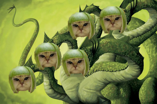 Lime Cat tweet media