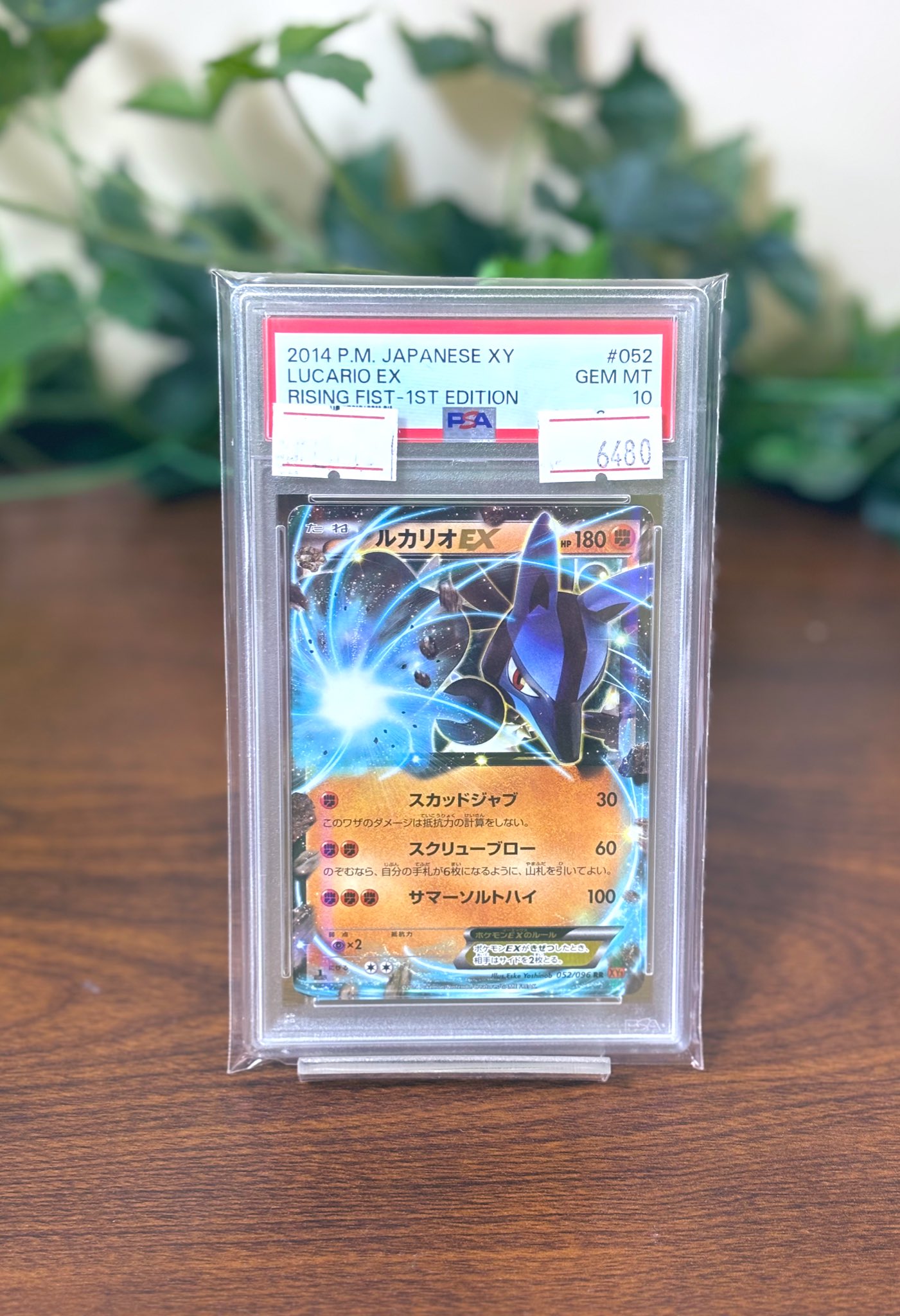 ルカリオEX 052/096 PSA10