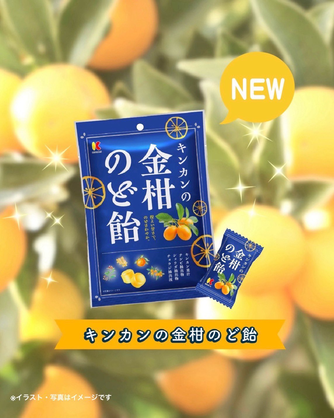 キンカン三姉妹【キンカン公式】 (@kinkansanshimai) / X