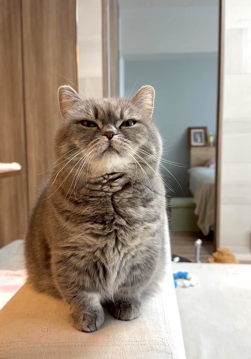ちび猫※プロフ全文必読※2508W2 ちび猫※プロフ全文必読※2508W2 ちび猫※プロフ全文必読※2508W2
