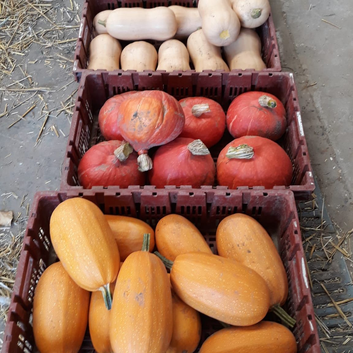 Herfst - Boeren- en streekmarkt woensdag - 16u tot 19u 👨‍🌾 - mailchi.mp/9685dc1dfd96/i…