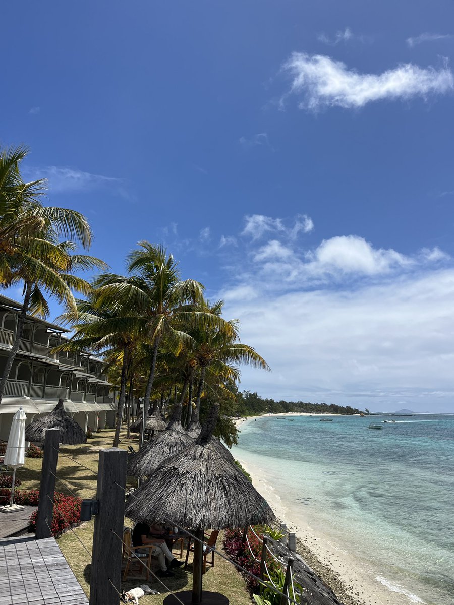 Retour au paradis ! 🌞🌴