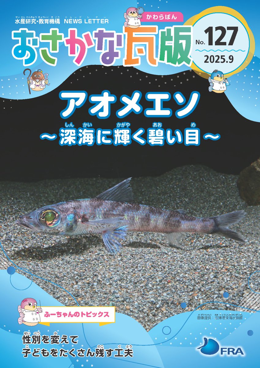 fra_go_jp's tweet image. 【広報誌】おさかな瓦版127号を発行しました。 2025年9月発行「アオメエソ」 
読者アンケートを実施しておりますのでご協力をお願いいたします。
fra.go.jp/home/kenkyusho…
 #水産研究・教育機構 #FRA #おさかな瓦版 #FRA_広報誌 #アオメエソ
