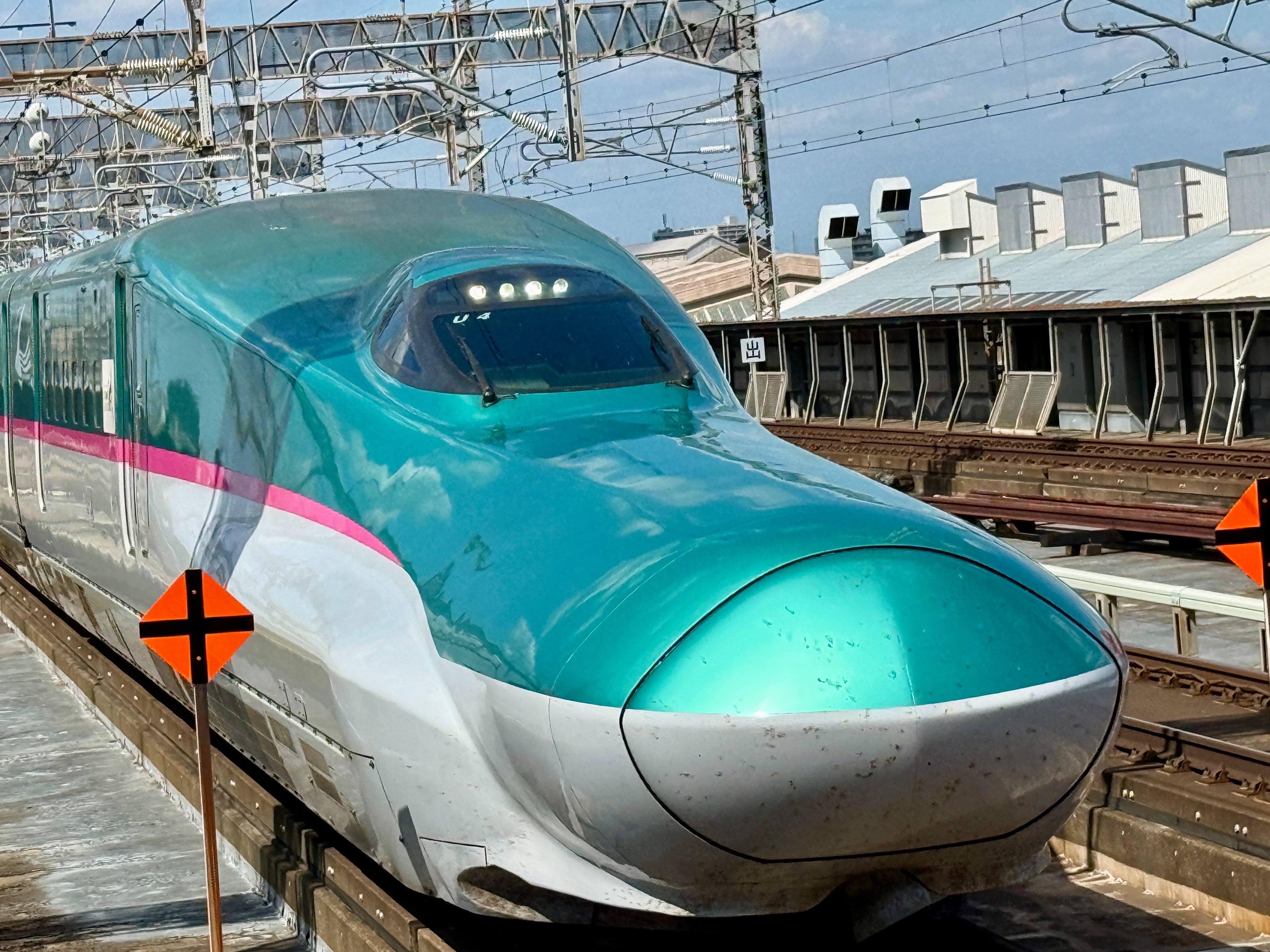 えのちゃんページ ペーパーストラクチャー P03大学病院｜製品をさがす｜ジオコレ