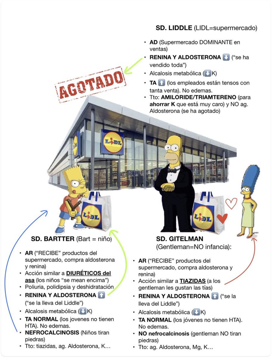 por si alguien le viene bien, no sé quién la hizo pero desde que lo vi no fallo una en los simus con las dichosas tubulopatías